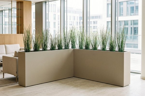 Space-Saving Room Dividers - How to Use Tall, Narrow Planters to Create Private Zones