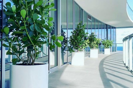 Biophilic Design 2026: A Design Guide to the Living Office