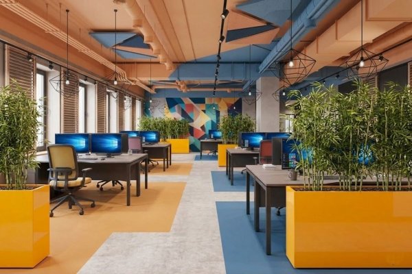 Biophilic Design 2026: A Design Guide to the Living Office