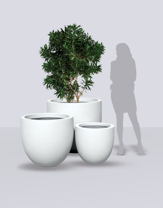 Alzira Bowl Planter