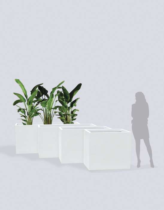 Brisbane Tall Corner Planter