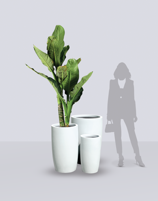 Lisbon Tall Round Tapered Planter