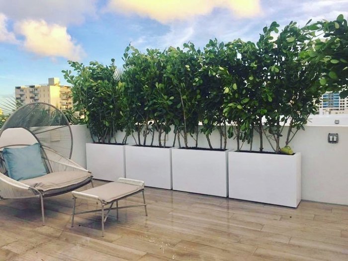 Milano Narrow Rectangular Planter