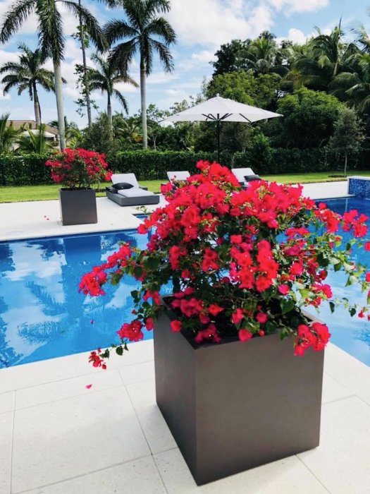 Montroy Cube Planter