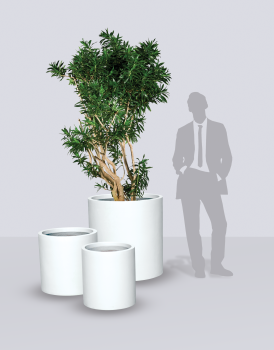 Rio Grande Cylinder Planter