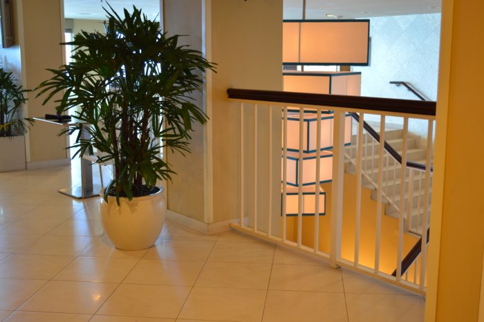 Shanghai Fishbowl Planter