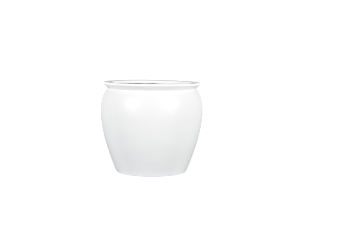 Shanghai Fishbowl Planter