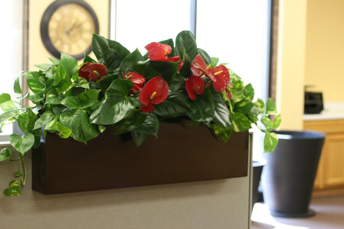 Tiergarden Railing Planter