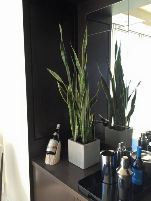 Tonto Small Cube Planter