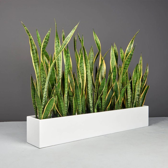 Weir Rectangle Tabletop Planter