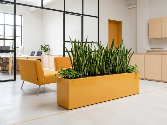 Antwerp Wide Rectangular Planter