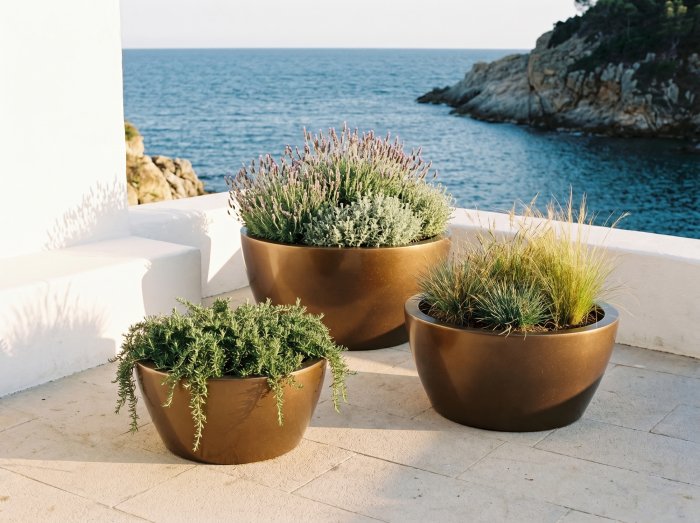 Casablanca Bowl Planter