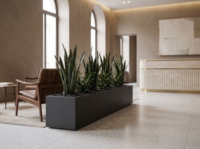 Cuba Low Rectangular Planter