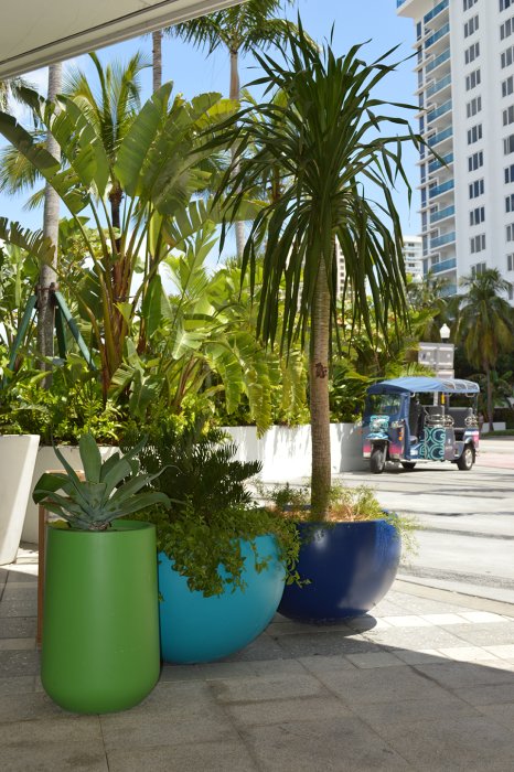 Tarragona Bowl Planter