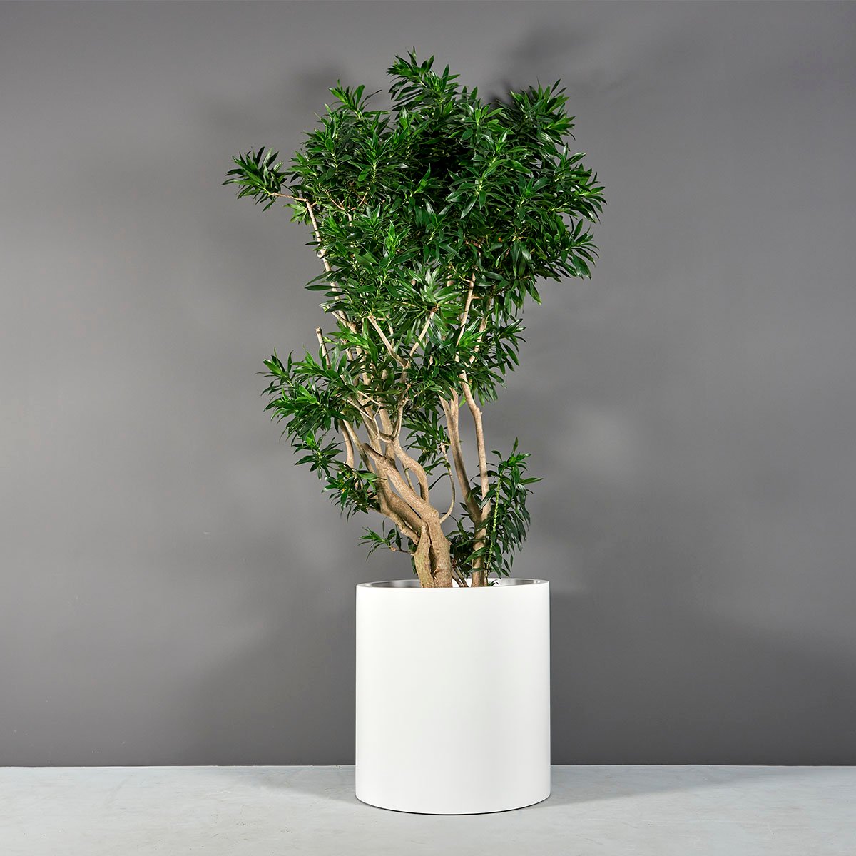 best fiberglass planters