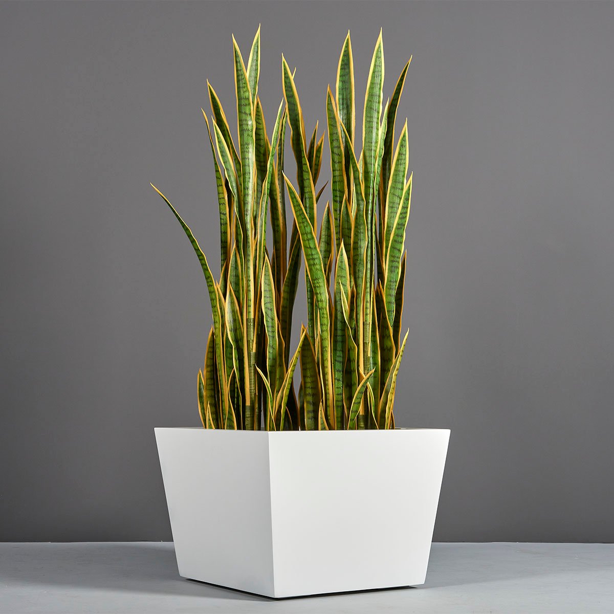 best fiberglass planters