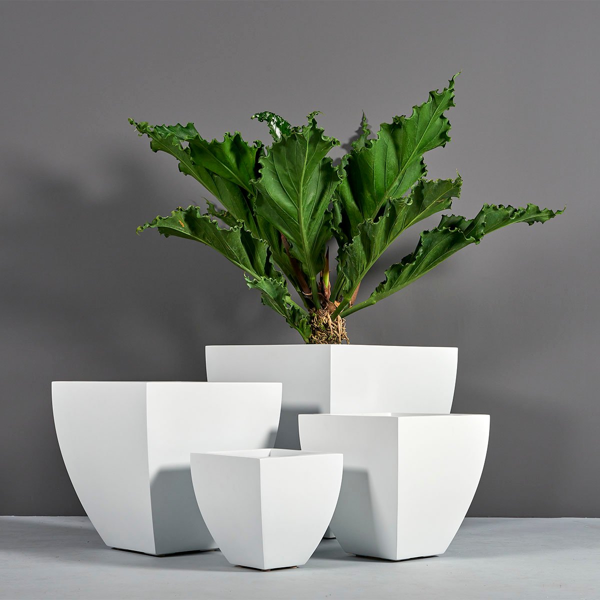fiberglass planters