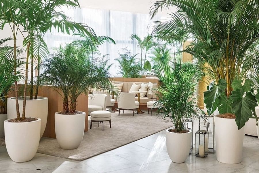 why buy fiberglass planters